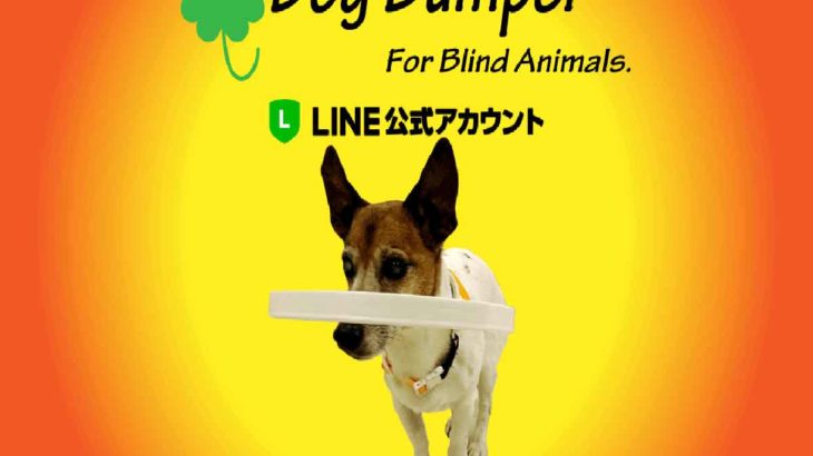 目の見えない犬の補助グッズ ドッグバンパー