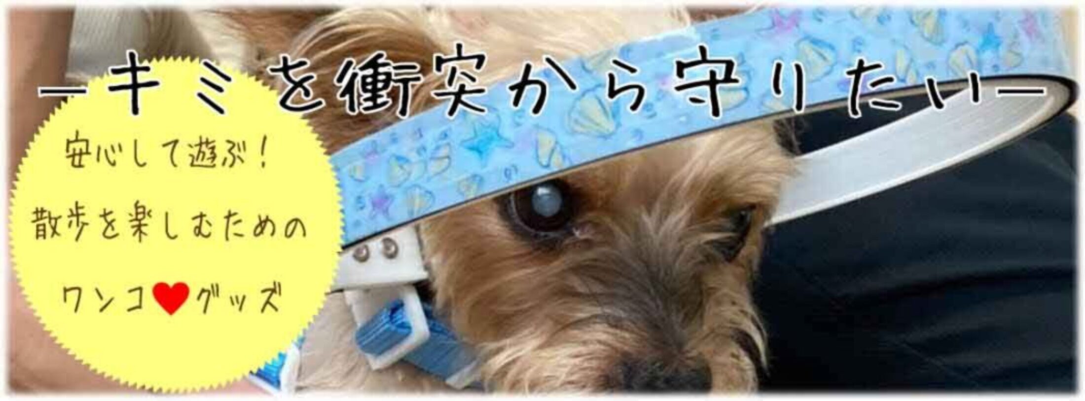 国産 目が見えない犬の白い杖ドッグバンパー